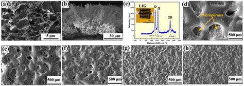 Flexible Piezoresistive Sensors from Polydimethylsiloxane Films with ...