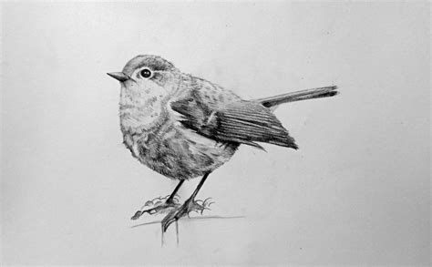 Image result for Basic Drawing Program