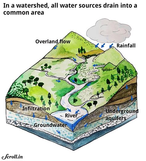 Water crisis: How Modi government dismantled India’s main defence ...