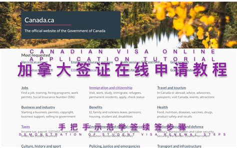 加拿大签证网上申请和签证中心递交哪个更快 - 签证 - 旅游攻略