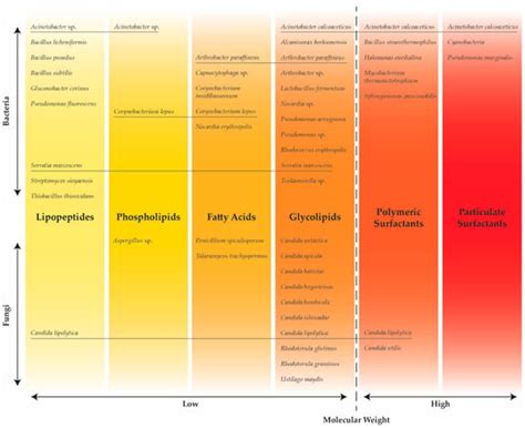 Biotechnological Utilization of Agro-Industrial Residues and By ...