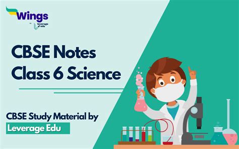 Class 6 Science CBSE Chapter 8 的图像结果