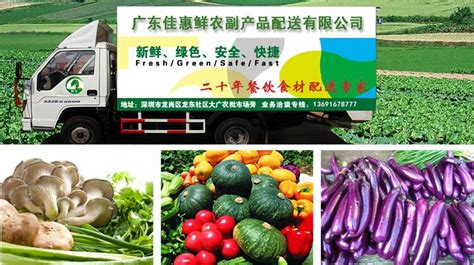 蔬菜配送方案 - 深圳佳惠鲜农副产品配送有限公司