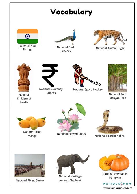 National Symbols | National symbols, Symbol drawing, India for kids