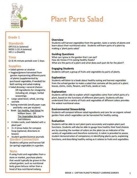 Image result for Plant Lesson First Grade