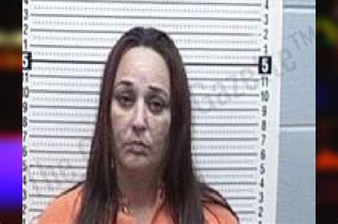 Tattnall County Jail Bookings - The Georgia Gazette