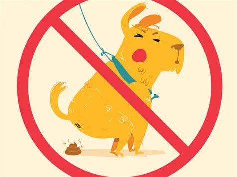 What is Leptospirosis: Do’s and dont’s you need to follow - What is ...