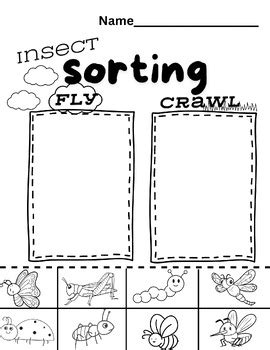 Image result for Insect Sorting