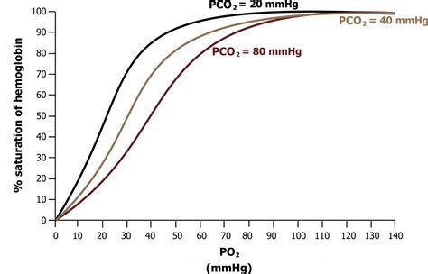 Image result for PCO2 Gradient