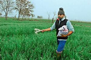 Deferred tax liability hits Chambal Fertilisers' reported profit