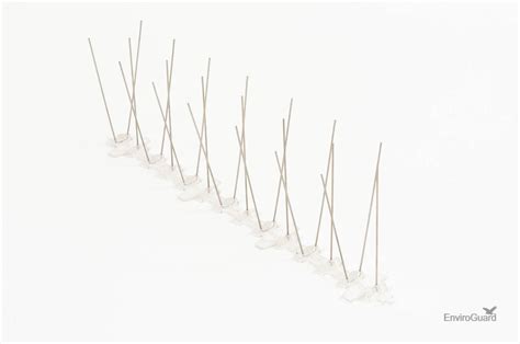 Pigeon Spikes 的图像结果