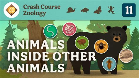 Image result for APES Crash Course