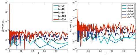 Numerical Identification of External Boundary Conditions for Time ...