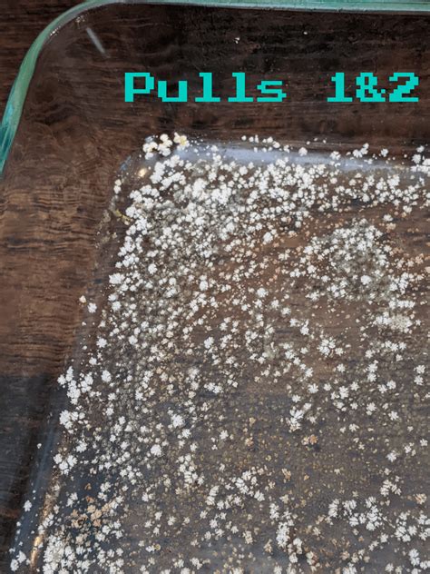 DMT Extraction Tutorial 的图像结果