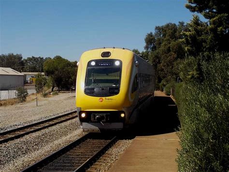 Transwa (Perth) - 2021 What to Know Before You Go (with Photos ...