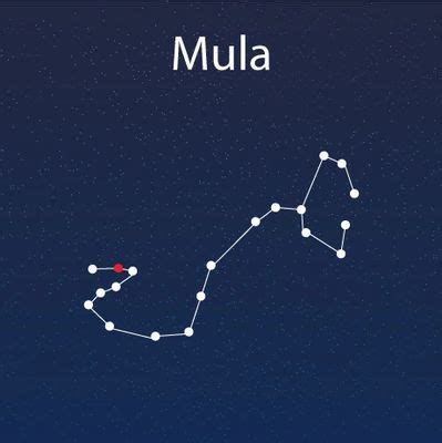 MOOLA NAKSHATRA | @ ULTIMATE ASTROLOGER