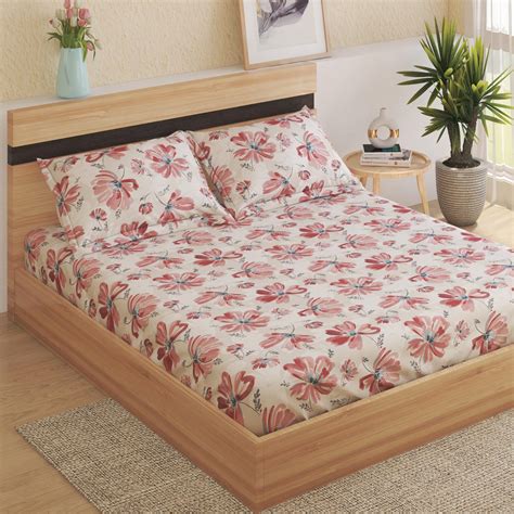 Buy Rhapsody Cotton 144TC Floral Print 3Pcs King Fitted Bedsheet Set ...