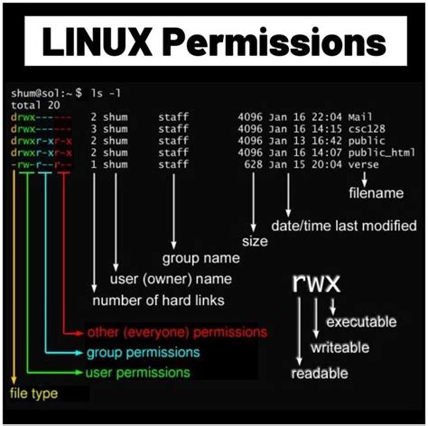 Linux Permissions Explained 的图像结果