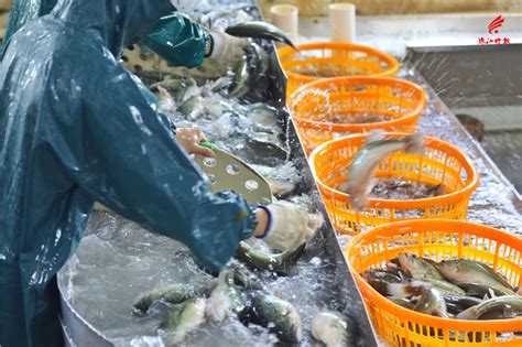 广州定做超市海鲜池,广州定做海鲜池,广州定制海鲜池_大山谷图库