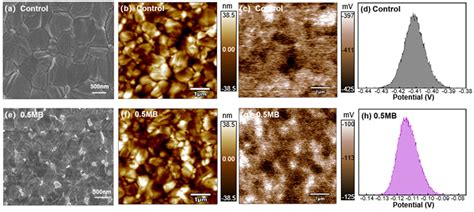 MnBr2-Doped CsPbBr3 Nanocrystal Passivation Layer for High-Efficiency ...