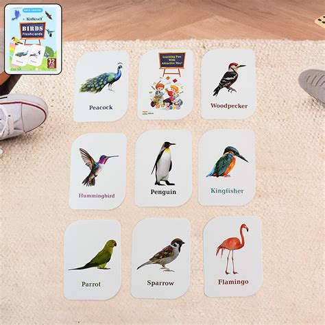KidKraft Early Learner Educational Flashcards – 32 Birds – Wukusy