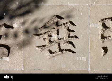 Image result for GUI Script Chinese