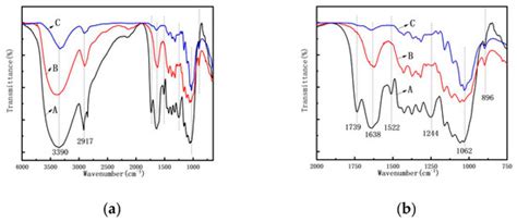 Preparation and Characterization of Microcellulose and Nanocellulose ...