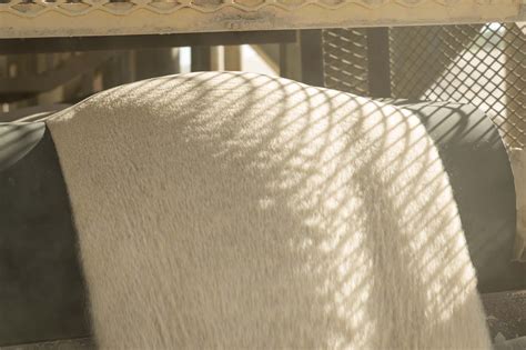 Multimedia Filter Design 的图像结果