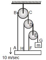 NLM - Constrained Motion; Chapter Notes; Class 11; Physics (IIT-JEE and ...