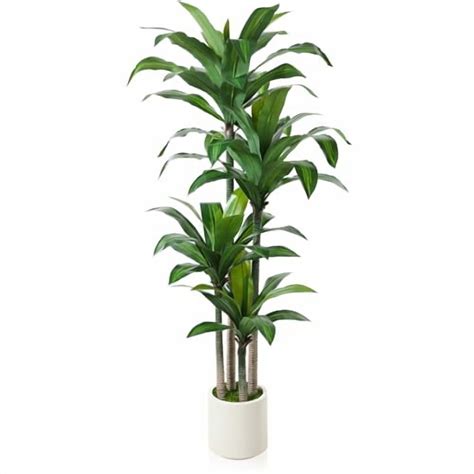 Artificial Dracaena Tree 6ft, Tall Fake Dracaena Plants with White ...