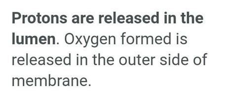 During light reaction the protons and `O_2` formed by photolysis of ...