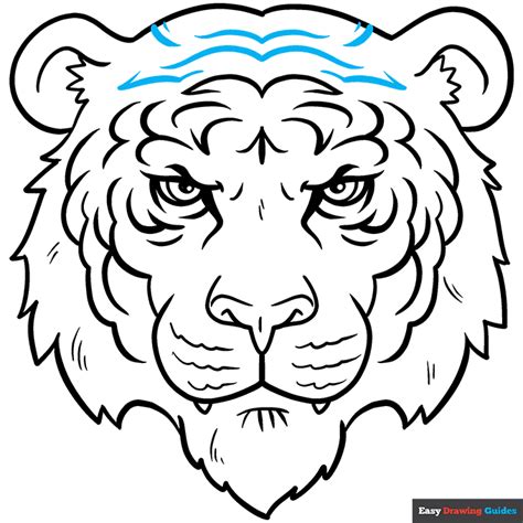 Image result for Tiger Drawing Tutorial