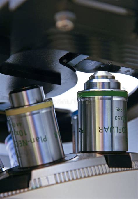 Inverted Microscope 的图像结果