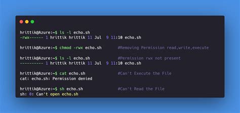 Image result for How to Execute File in Linux