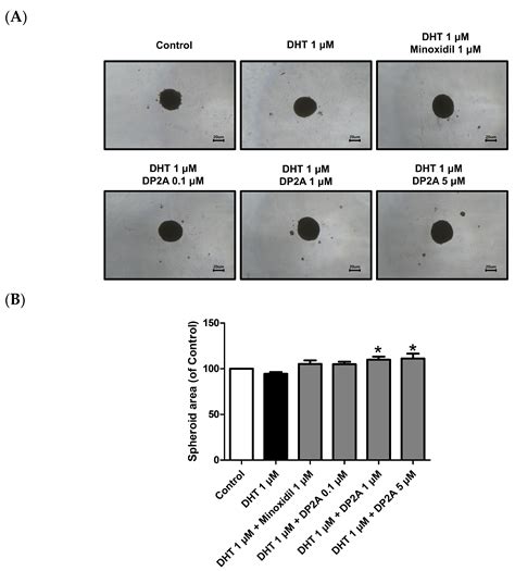 Anti-Hair Loss Effects of the DP2 Antagonist in Human Follicle Dermal ...