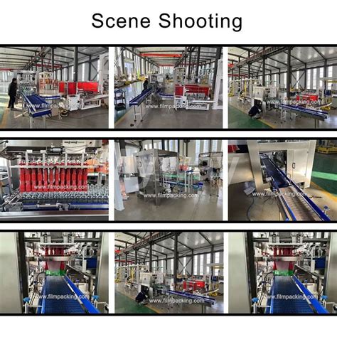 Rezultat imagine pentru Case Packer Types