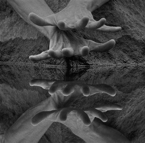 Image result for Example of Things That Reflect