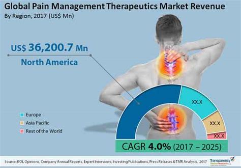Pain Management Therapeutics Market: Are Expected To Offer Promising ...