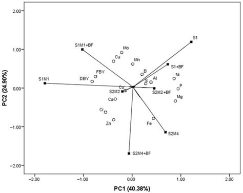Intercropping of Soybean and Common Millet—A Rational Way of Forage ...