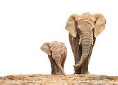 Image result for How Does a Pandas Python Code Look Like