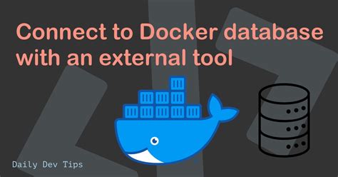 Connect Local Database From Docker 的图像结果