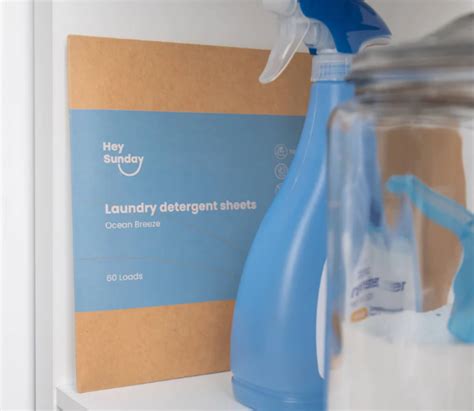 TRR tried HeySunday's Detergent Sheets for a month. Here's our review ...