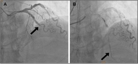 Maples Scientific Publisher | Open Access Journals | Peer-reviewed ...