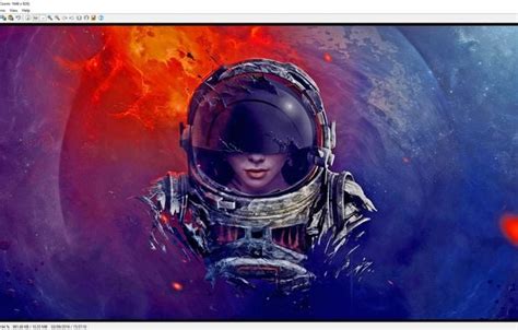 IrfanView Software 的图像结果