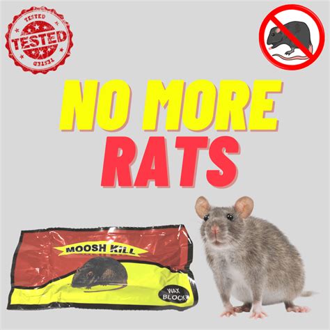 Mooshkill Rat Killer Cake 100gmX1 & 25gmX4 Combo | Ready to use wax ...