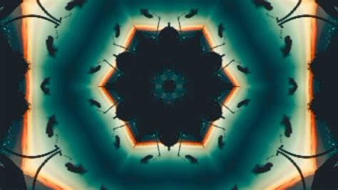 Image result for Projection Loop Download