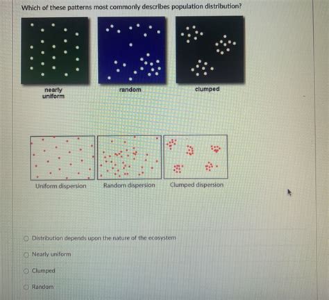 Image result for Types of Distribution Patterns