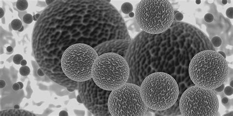 Image result for Dead Pathogen