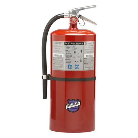 Buckeye 30lb Purple K Fire Extinguisher – Caribbean Safety Products Ltd.
