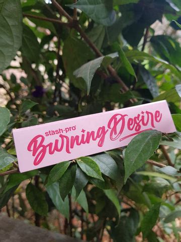 Buy Rolling Papers Online | Panda Rolling